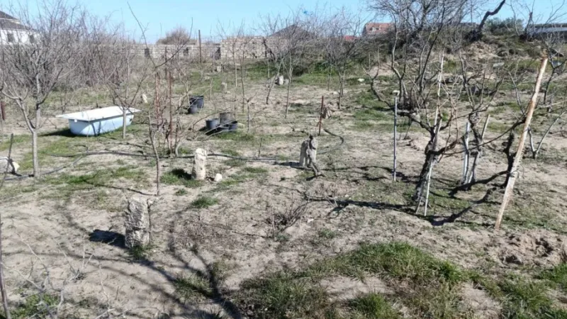 Satılır Torpaq 12 sot Nardaran - şəkil 3