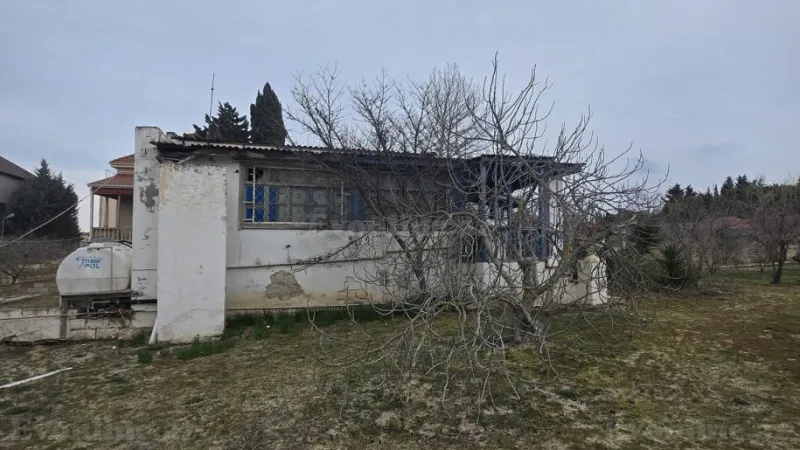 Satılır Torpaq 19.2 sot Bilgəh - şəkil 5