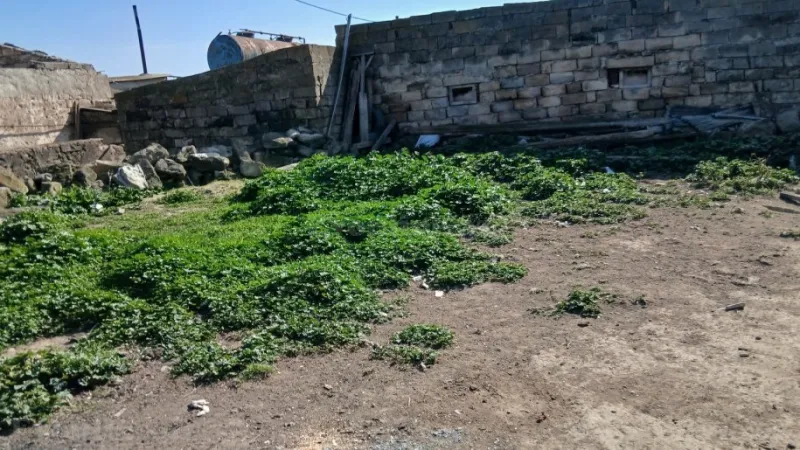 Satılır Torpaq 6.5 sot Zığ - şəkil 2