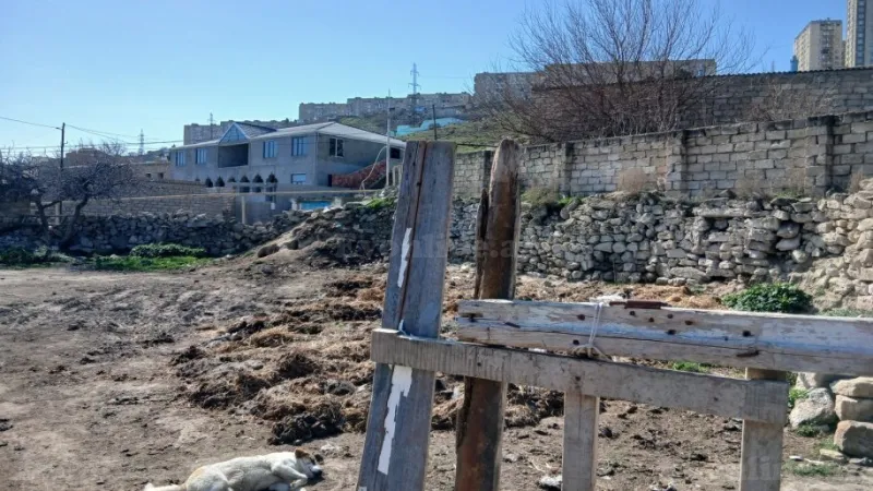 Satılır Torpaq 6.5 sot Zığ - şəkil 3