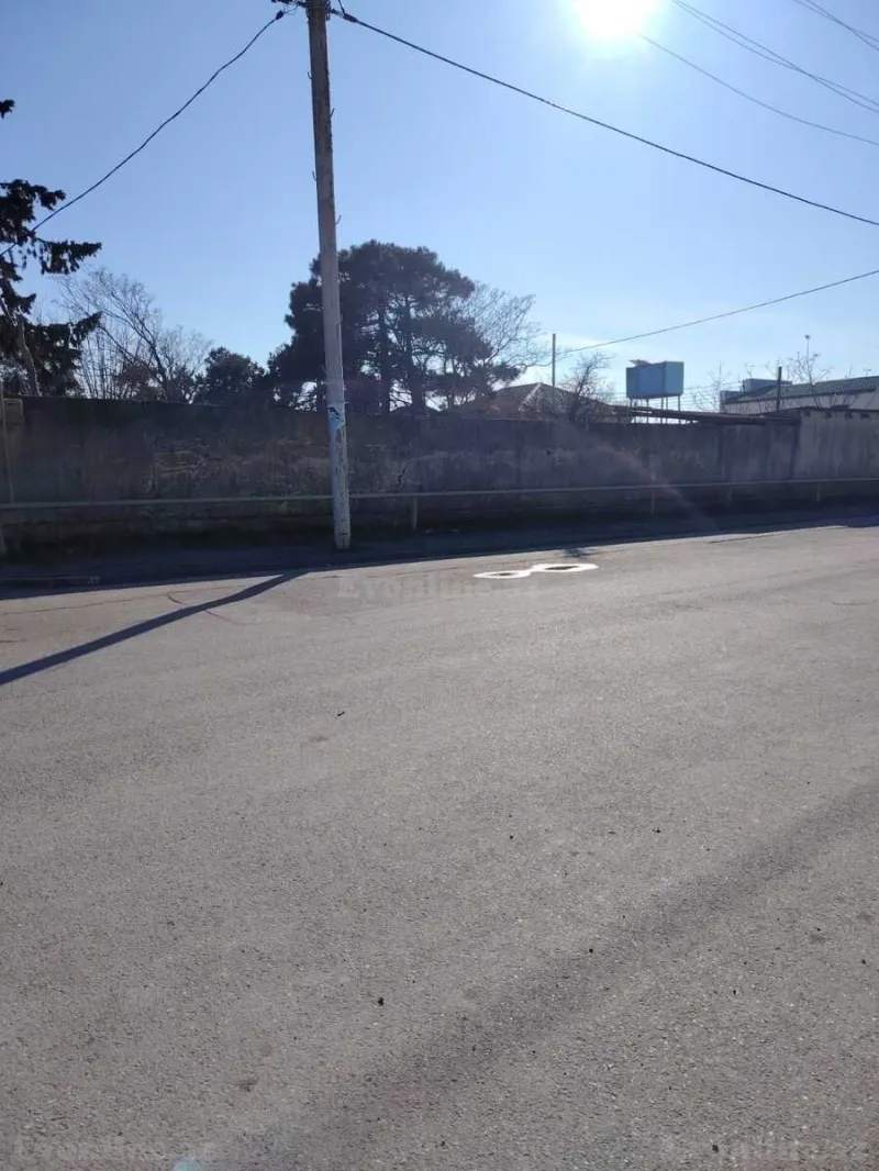 Satılır Torpaq 8 sot Qala - şəkil 3