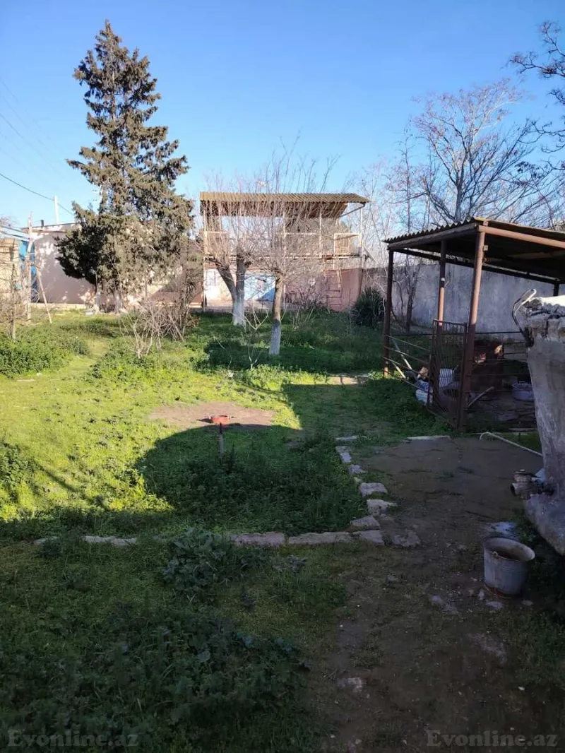 Satılır Torpaq 8 sot Qala - şəkil 7