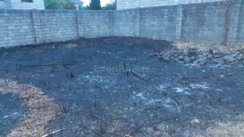 Satılır Torpaq 6 sot Lənkəran - şəkil 3