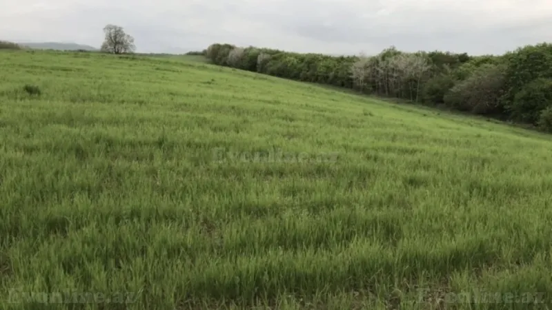 Torpaq Quba Satılır