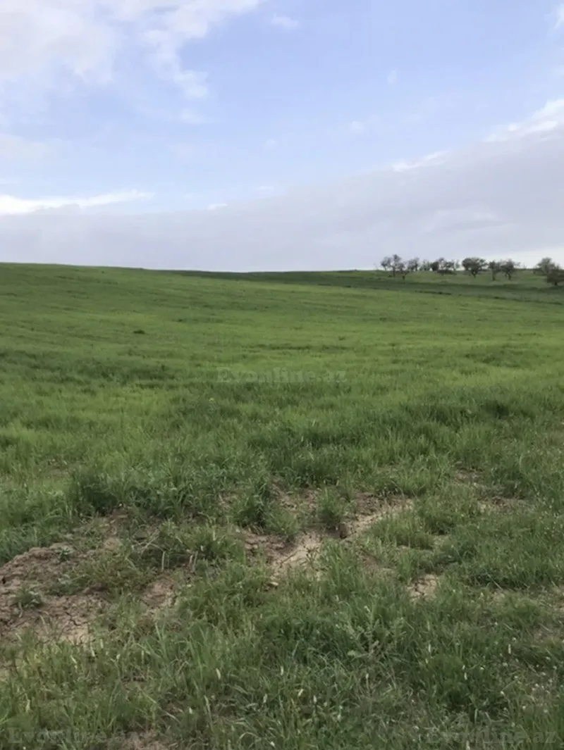 Satılır Torpaq 260 sot Quba - şəkil 4