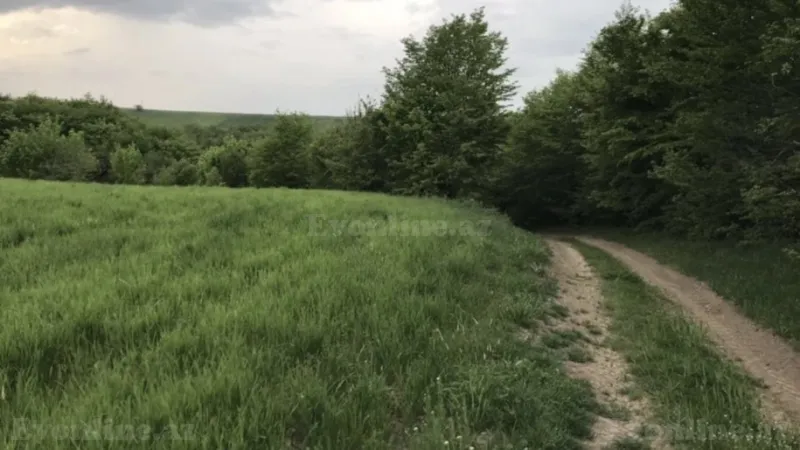 Satılır Torpaq 260 sot Quba - şəkil 5