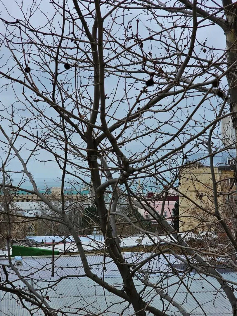 Satılır 4 otaqlı Mənzil Köhnə tikili 180 m² İçərişəhər m. - şəkil 6