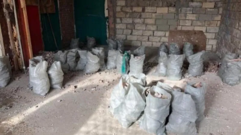 Kirayə verilir Obyekt 130 m² Xətai r. - şəkil 2