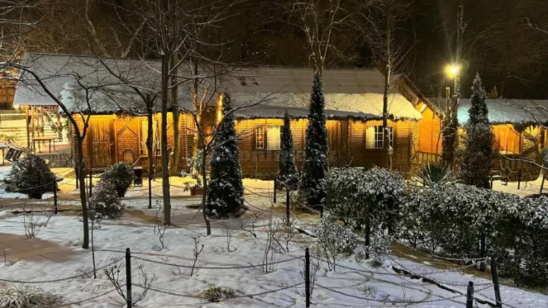 Satılır Torpaq 11 sot Qəbələ