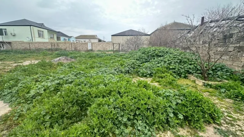 Satılır Torpaq 16 sot Binə - şəkil 2