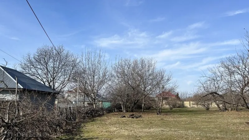 Satılır Torpaq 15 sot Qəbələ