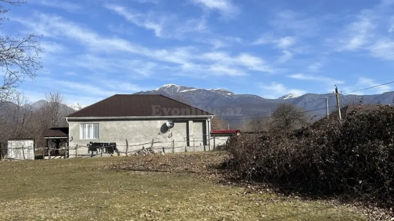 Satılır Torpaq 15 sot Qəbələ - şəkil 2