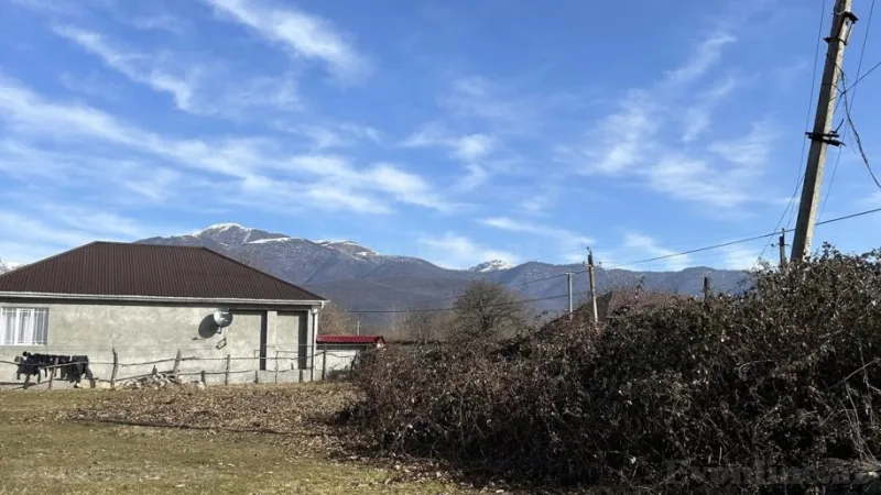 Satılır Torpaq 15 sot Qəbələ - şəkil 3