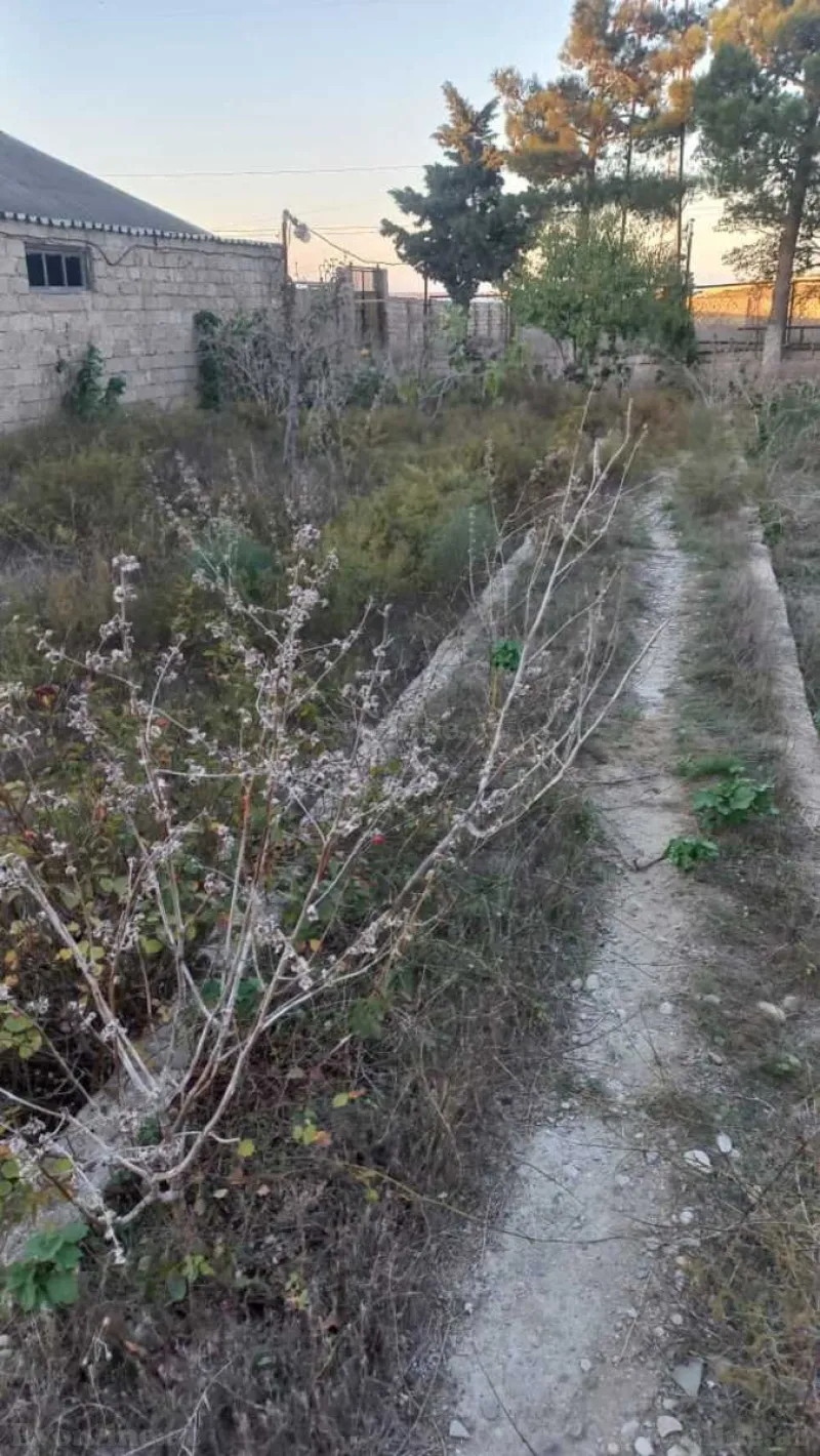 Satılır Torpaq 8 sot Dübəndi