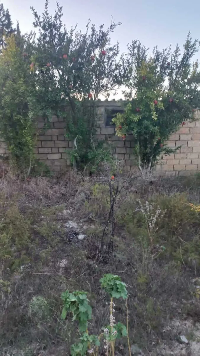 Satılır Torpaq 8 sot Dübəndi - şəkil 2