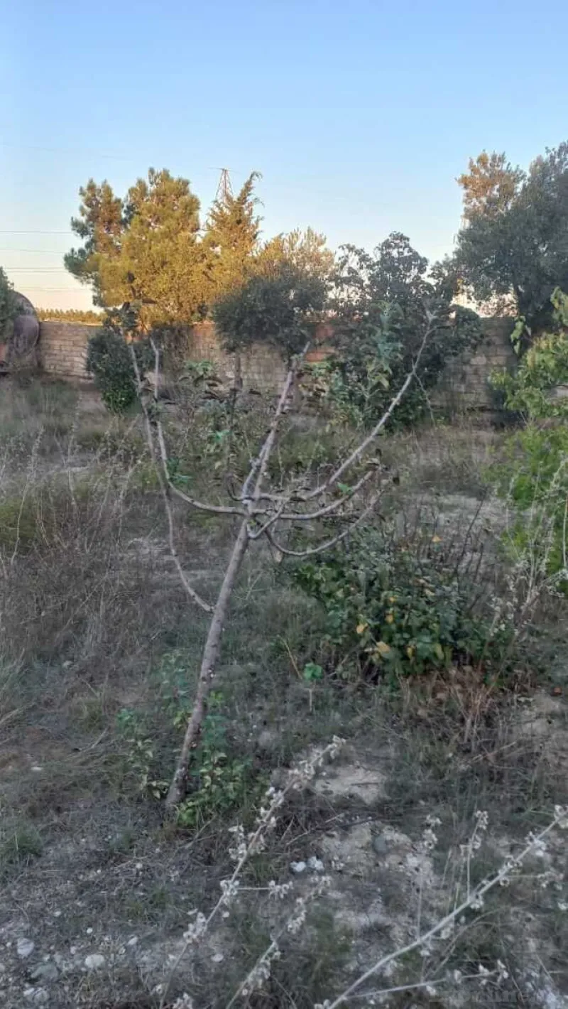 Satılır Torpaq 8 sot Dübəndi - şəkil 4