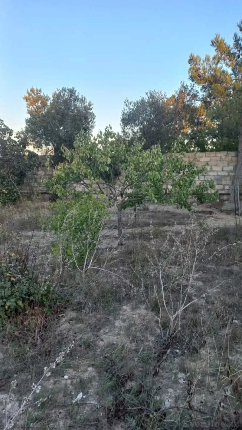 Satılır Torpaq 8 sot Dübəndi - şəkil 6