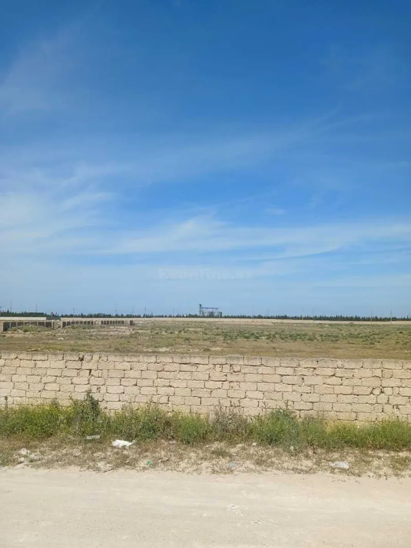 Satılır Torpaq 500 sot Zirə - şəkil 2