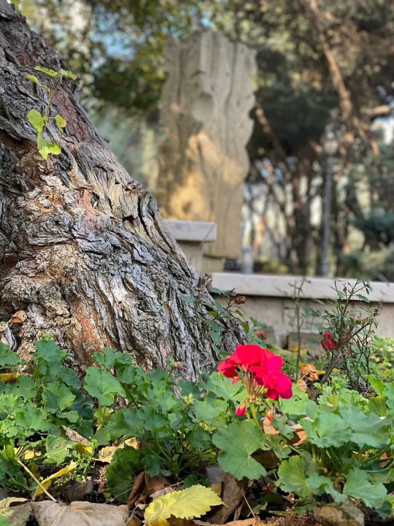 Satılır 2 otaqlı Mənzil Köhnə tikili 45 m² Nizami m. - şəkil 16