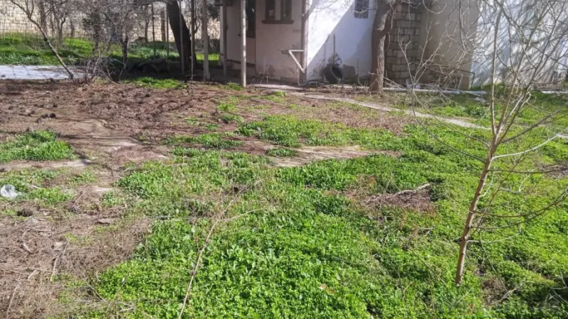 Satılır Torpaq 2.5 sot Badamdar - şəkil 2