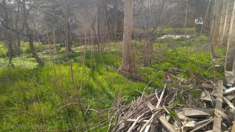 Satılır Torpaq 2.5 sot Badamdar - şəkil 4