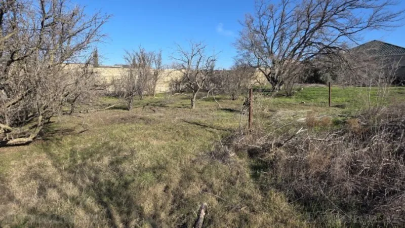 Satılır Torpaq 6 sot Sumqayıt - şəkil 3