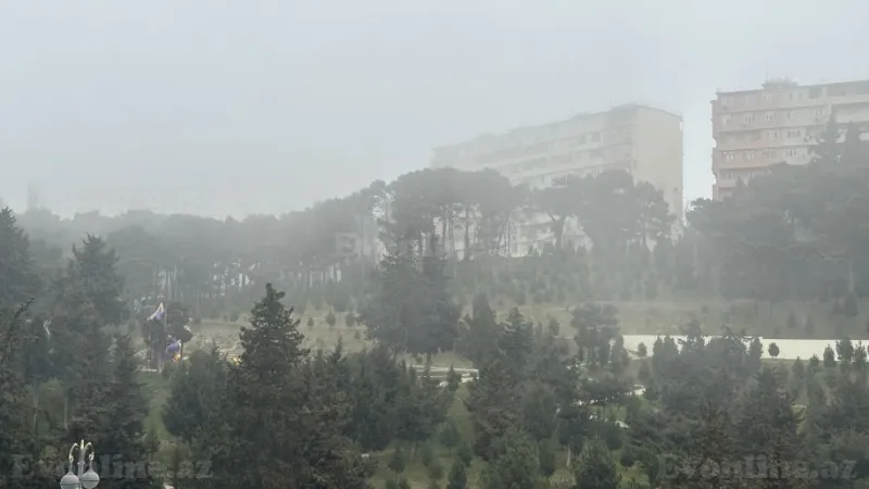 Satılır 2 otaqlı Mənzil Köhnə tikili 60 m² Əhmədli - şəkil 14