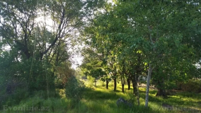 Satılır Obyekt 300 m² Hacıqabul - şəkil 6