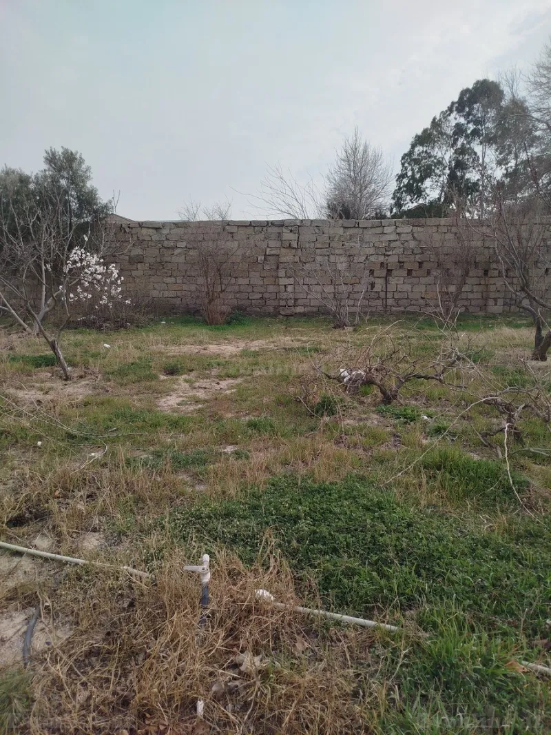 Satılır Torpaq 4.8 sot Görədil - şəkil 2