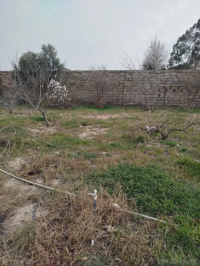 Satılır Torpaq 4.8 sot Görədil - şəkil 3