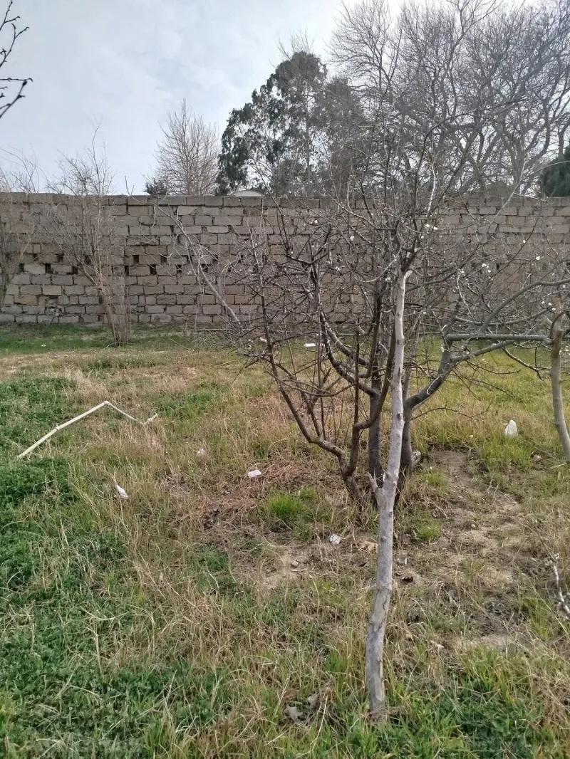 Bakı, Abşeron r., Görədilda torpaq satılır