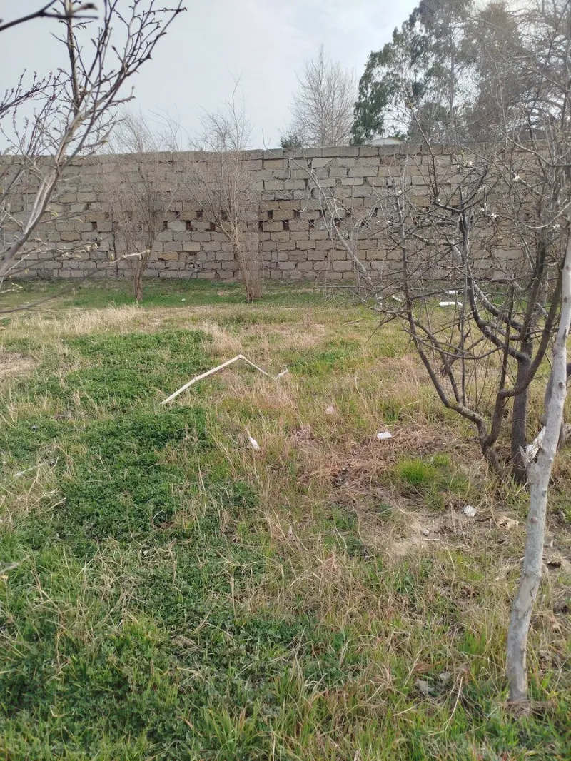 Satılır Torpaq 5 sot Görədil - şəkil 2