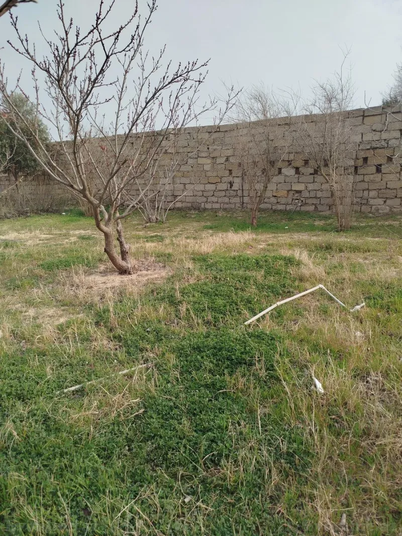 Satılır Torpaq 5 sot Görədil - şəkil 3