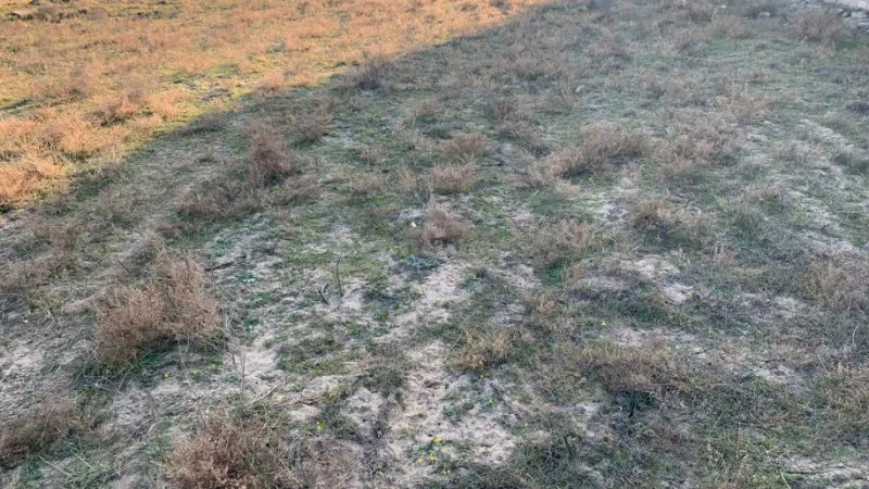 Satılır Torpaq 10 sot Nardaran - şəkil 4