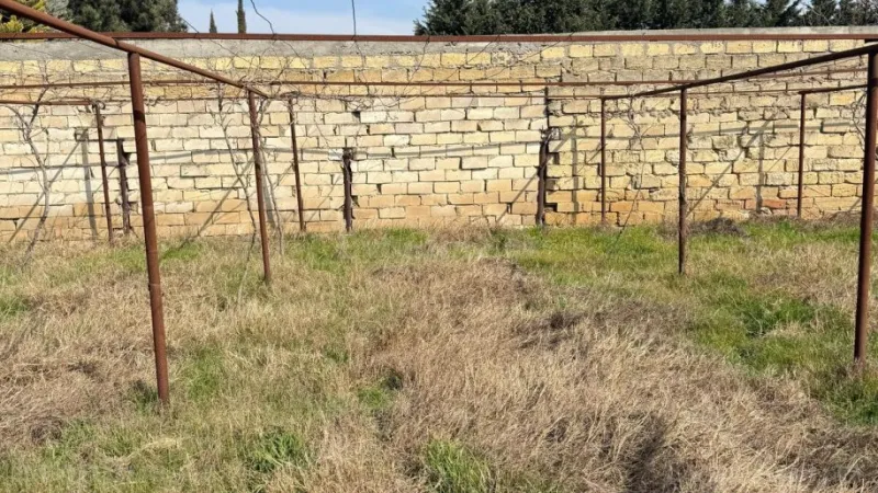 Satılır Torpaq 3 sot Novxanı - şəkil 7