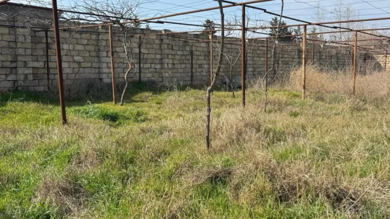 Satılır Torpaq 3 sot Novxanı - şəkil 9