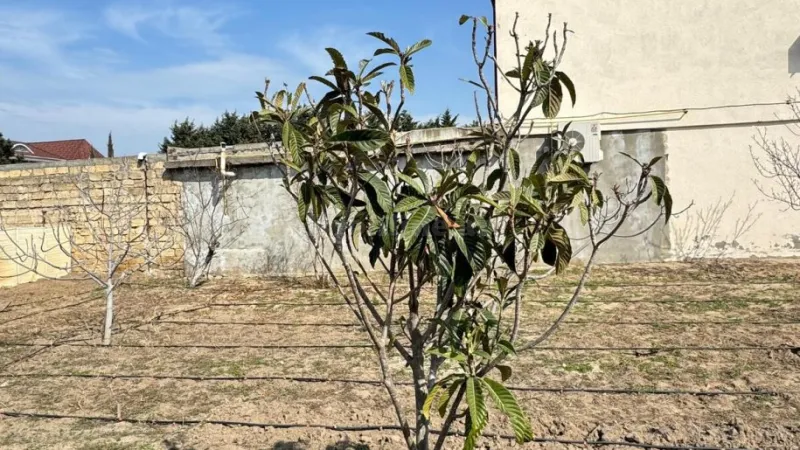 Satılır Torpaq 3 sot Novxanı - şəkil 13