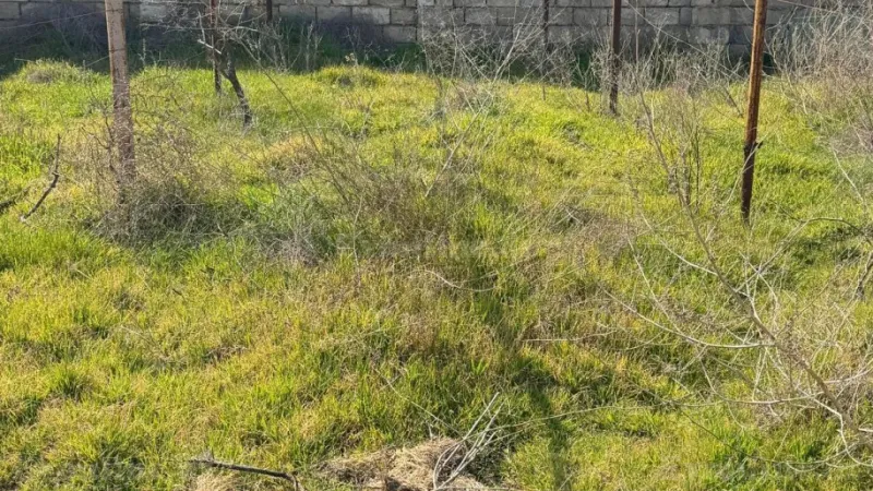 Satılır Torpaq 3 sot Novxanı - şəkil 20