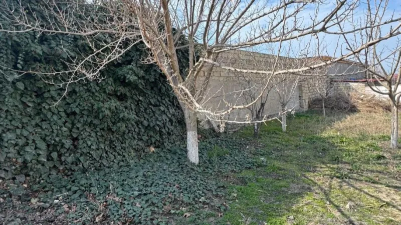 Satılır Torpaq 3 sot Novxanı - şəkil 22
