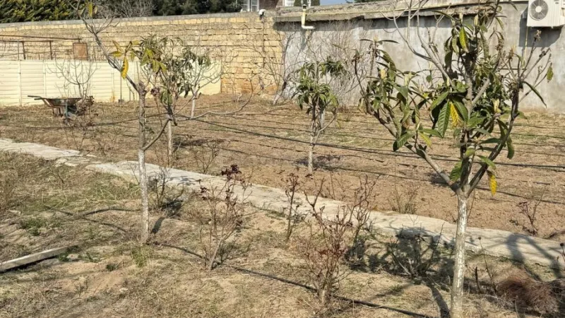 Satılır Torpaq 4 sot Novxanı