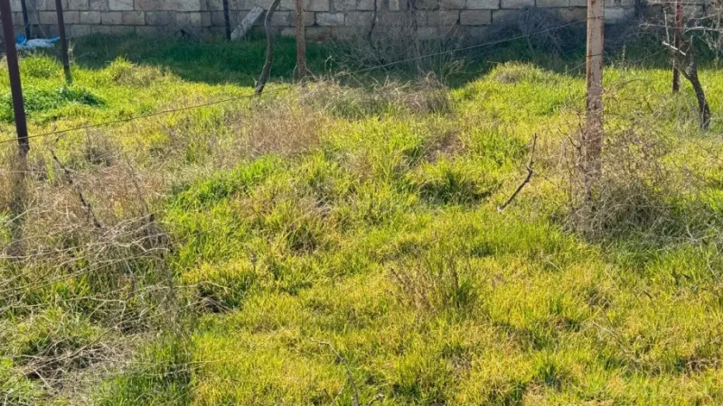 Satılır Torpaq 4 sot Novxanı - şəkil 16