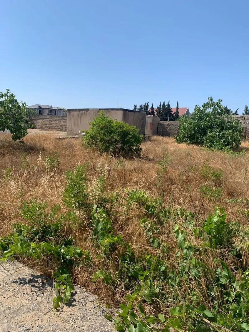 Satılır Torpaq 9.3 sot Bilgəh - şəkil 3