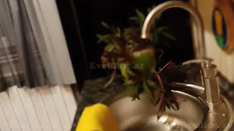 Kirayə verilir 1 otaqlı Mənzil Köhnə tikili 32 m² İçərişəhər m. - şəkil 6