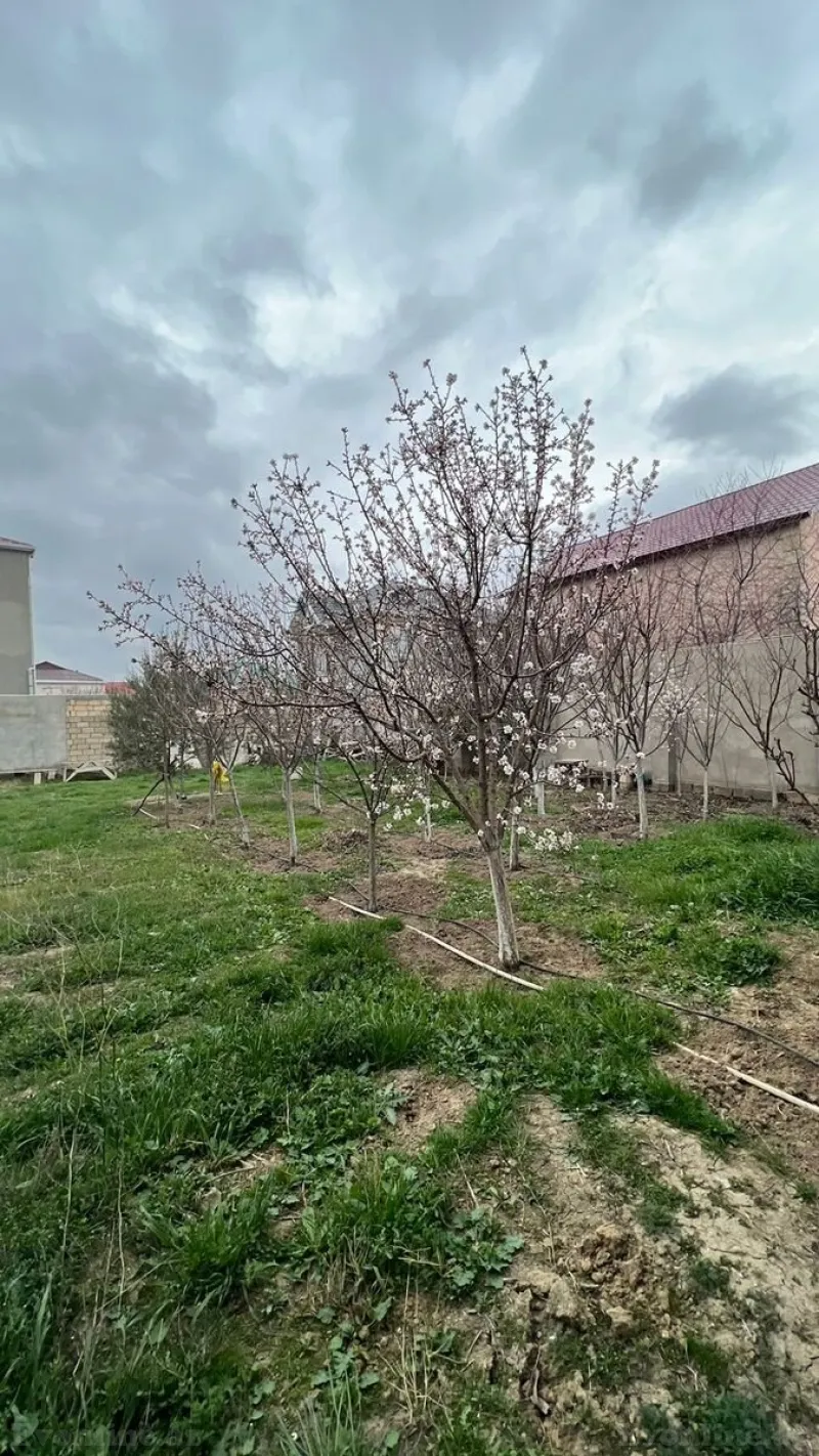 Satılır Torpaq 6 sot Ceyranbatan - şəkil 5