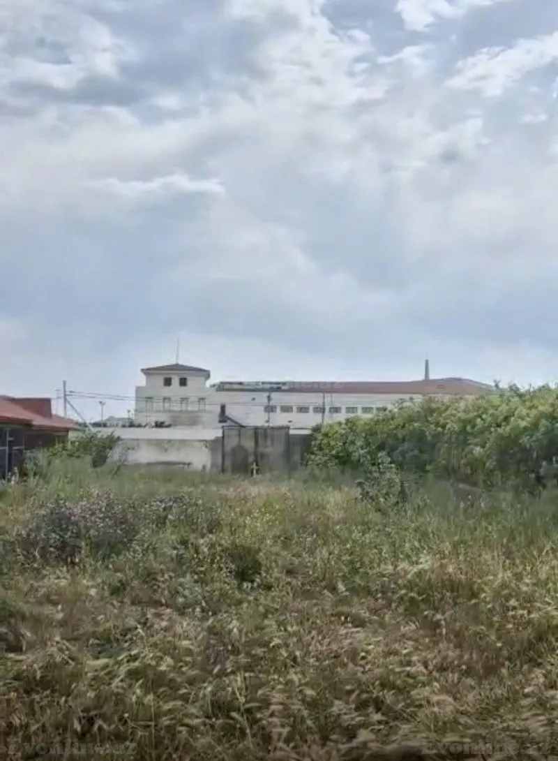 Satılır Torpaq 56 sot Bilgəh