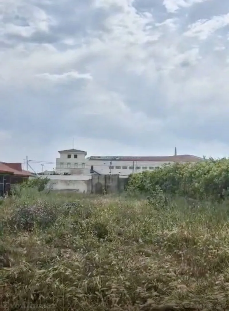 Satılır Torpaq 56 sot Bilgəh - şəkil 11