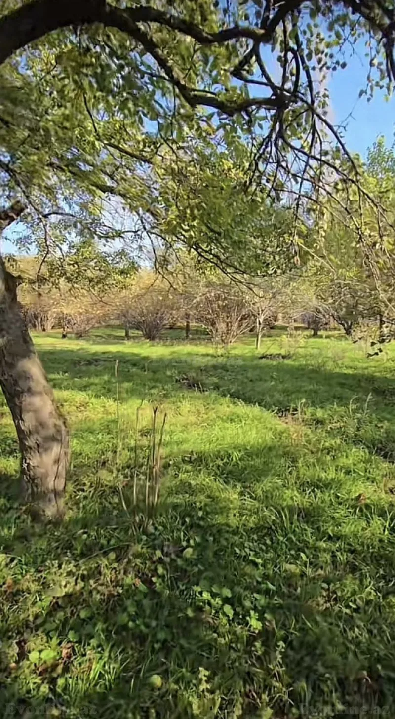 Satılır Torpaq 27 sot Qəbələ