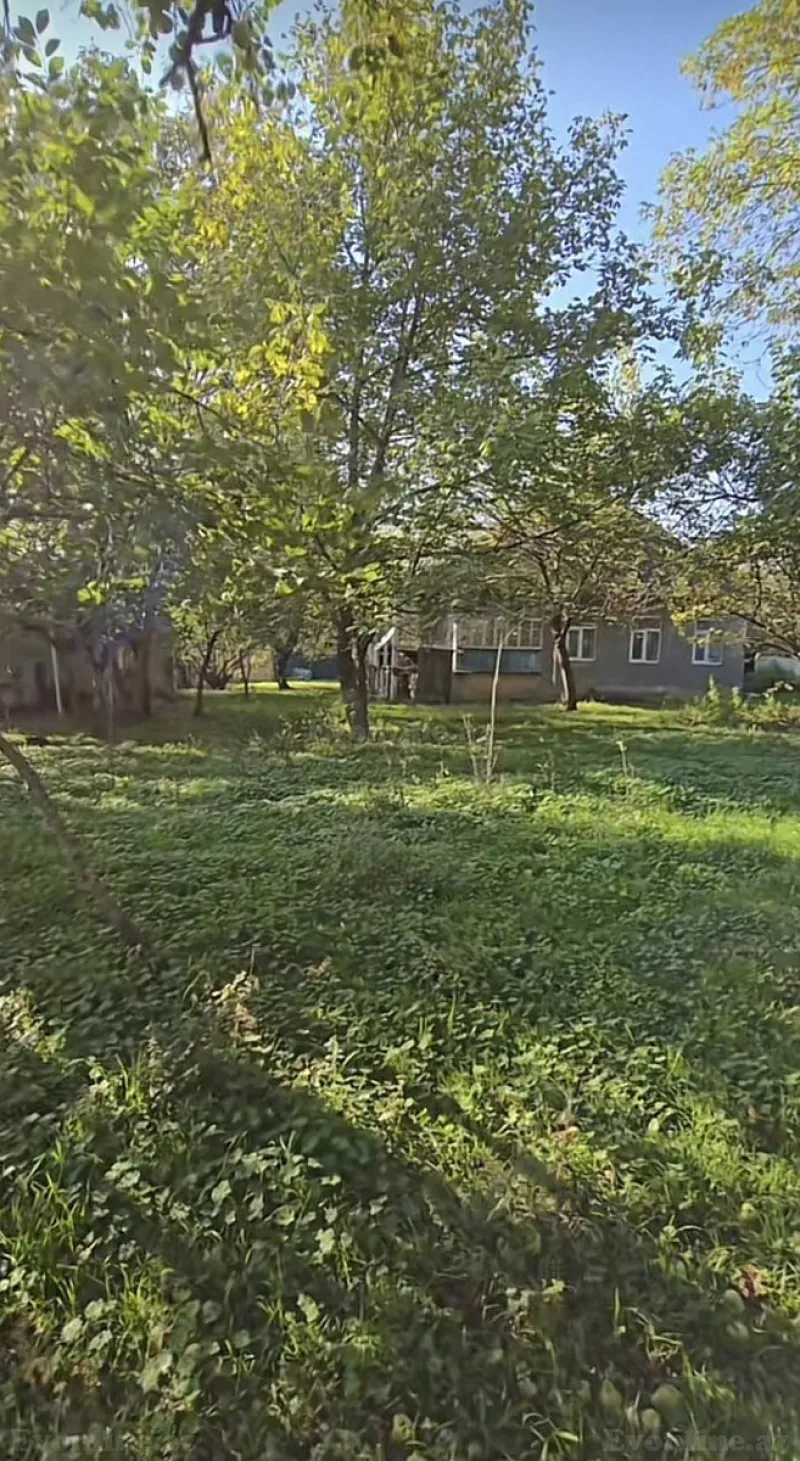 Satılır Torpaq 27 sot Qəbələ - şəkil 2