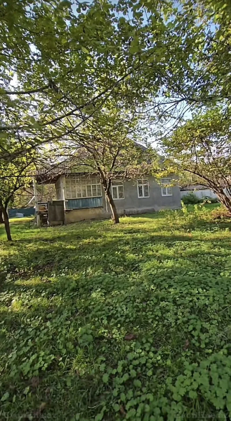 Satılır Torpaq 27 sot Qəbələ - şəkil 3