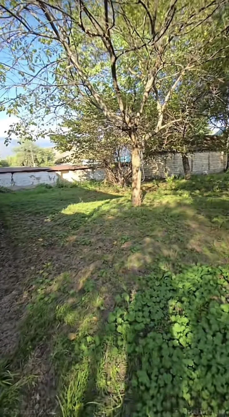 Satılır Torpaq 27 sot Qəbələ - şəkil 5